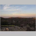 20060812_JoshuaYuccaTree_035 copia.jpg